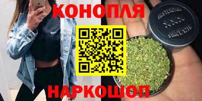 гидра Волгодонск