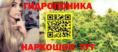 гидра Волгодонск