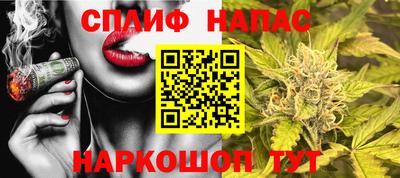 гидра Волгодонск