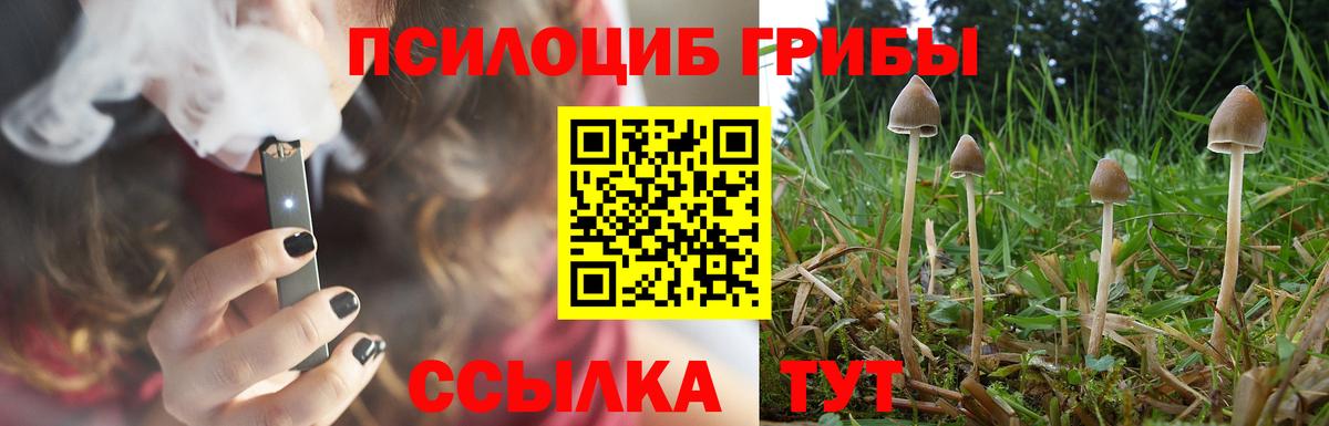 Псилоцибиновые грибы Psilocybine cubensis  Галлюциногенные грибы Cubensis  Дзержинск  купить наркотик  Вход с VPN 